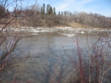 Winnipeg Assiniboine river