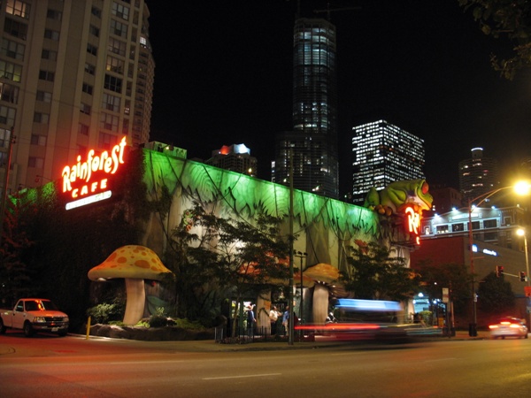 фотографии ночного города Чикаго и Rainforest