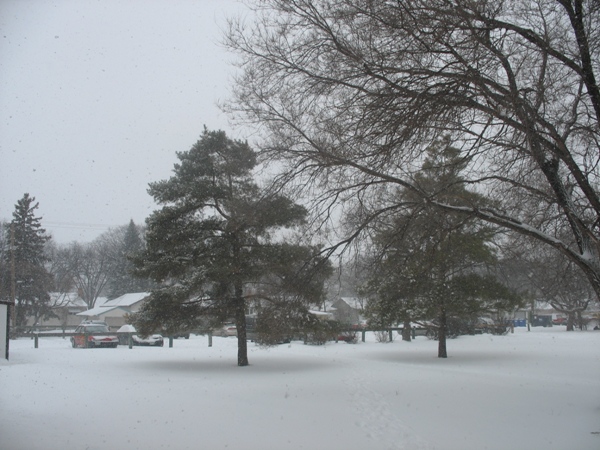 фотографии Виннипега, погода и весна, Ланарк. Lanark Winnipeg