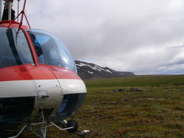 Канадская Арктика через блистер вертолёта
