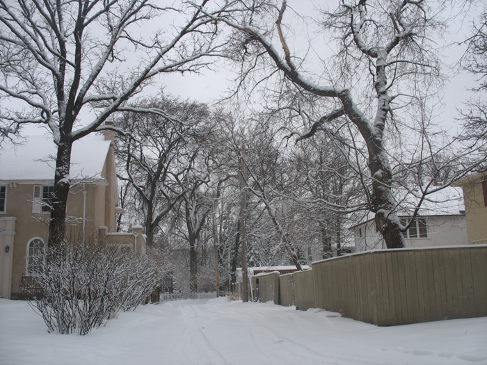 Виннипег погода в Виннипеге весна снег Winnipeg snow