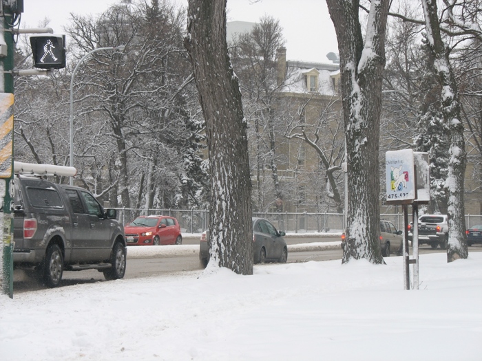 Виннипег погода в Виннипеге весна снег Winnipeg Wellington Crescent snow
