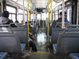 Winnipeg bus