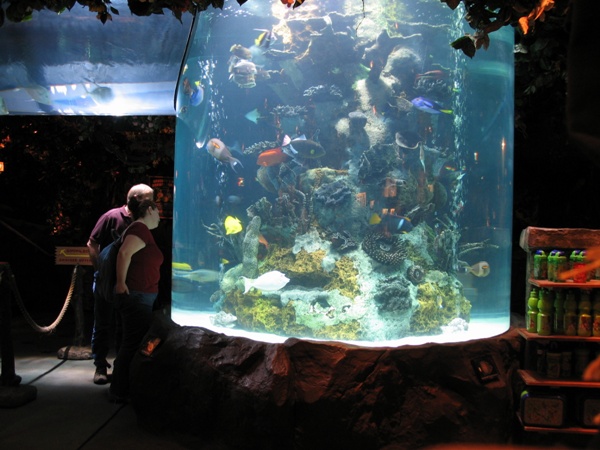 огромный морской аквариум в форме цилиндра