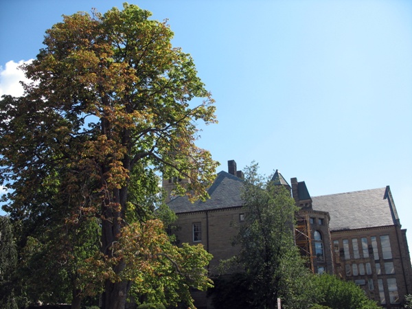 Корнельский университет, вид на кампус