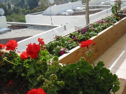 Как сделать кадки с цветами на маленьком балконе