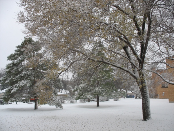 погода в Виннпеге, зима в Виннипеге, Winnipeg, Lanark, Winter