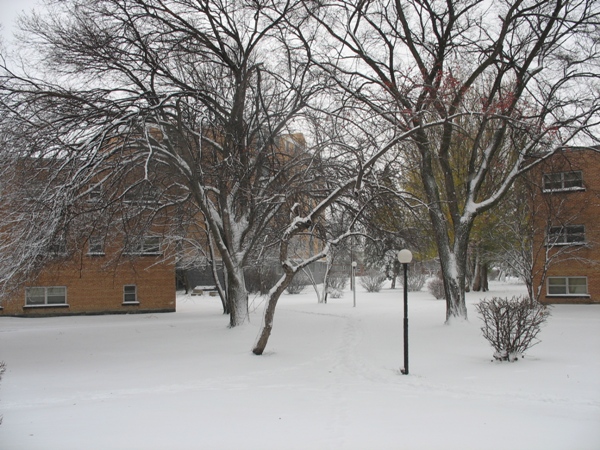 погода в Виннпеге, зима в Виннипеге, Winnipeg, Lanark, Winter