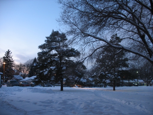 фотографии Виннипега, погода и зима на Ланарк стрит
