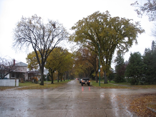 фотографии Виннипега, Виннипег, дождь, Ривер Хайтс. Winnipeg, rain, River Heights