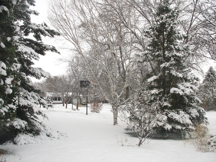 снег Виннипег Чарльзвуд Winnipeg Charleswood
