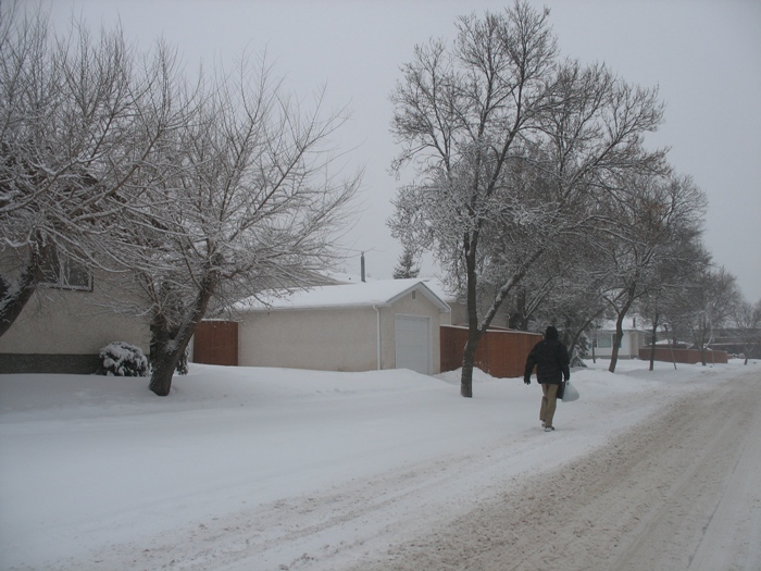 Виннипег погода в Виннипеге весна снег Winnipeg snow