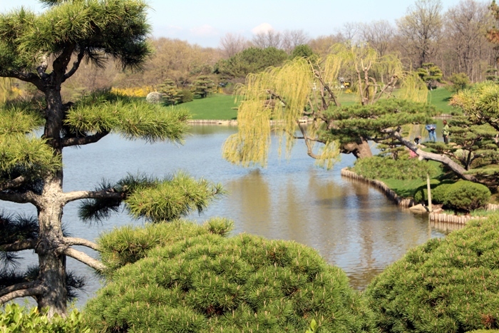 Чикагский ботанический сад остров японский сад Chicago botanic garden island japaniese garden