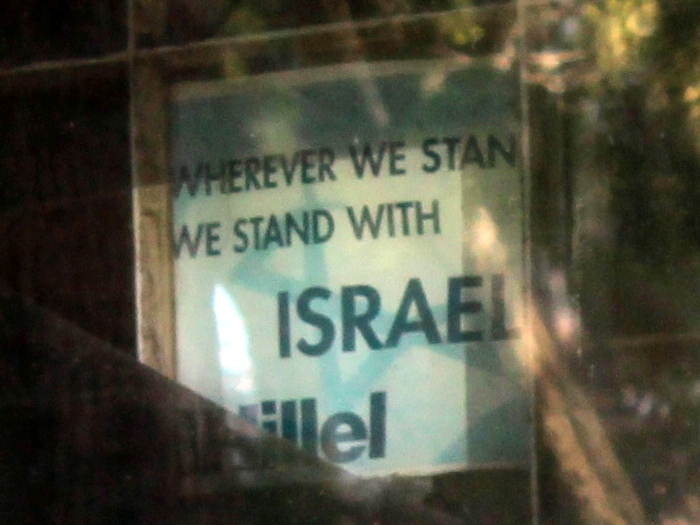 окрестности Чикаго Chicago we stand with Israel