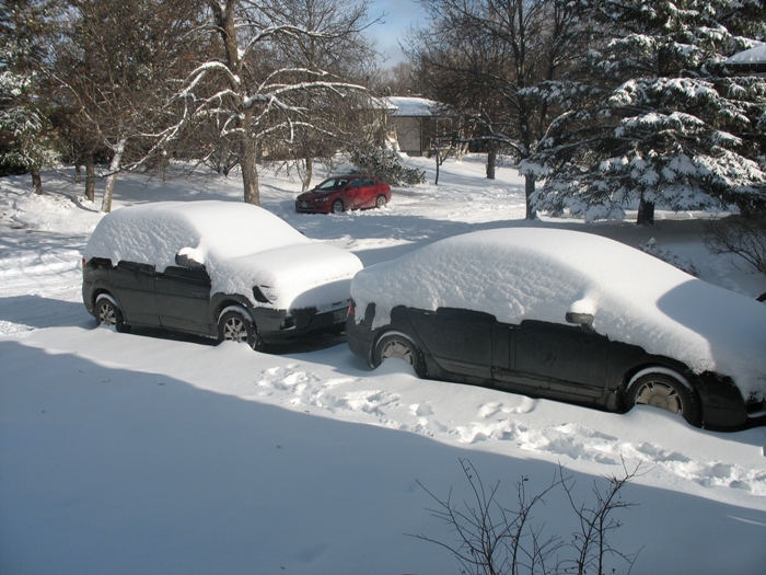 Виннипег снег Winnipeg snow
