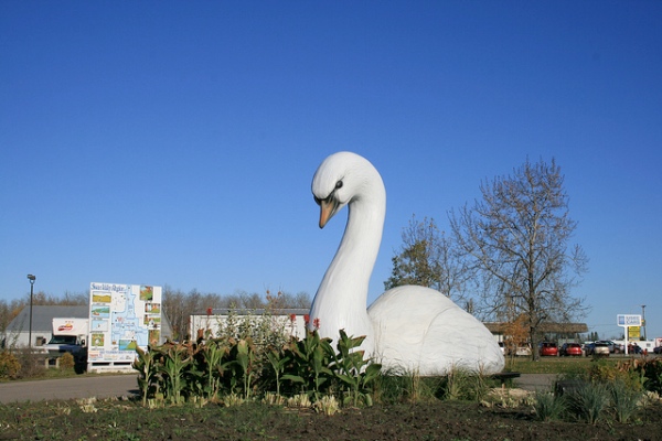 Сван Ривер статуюя лебедя