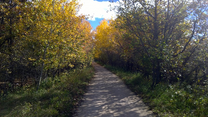 Виннипег Winnipeg Harte Trail